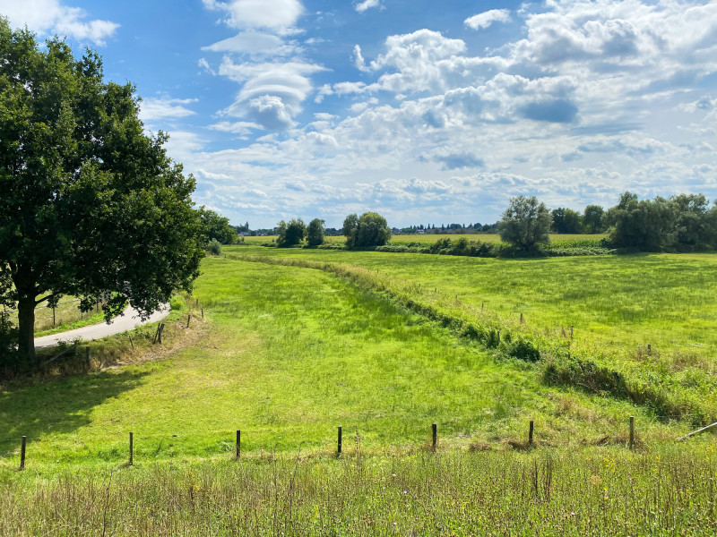 Foto van groen landschap met veel gras en bomen