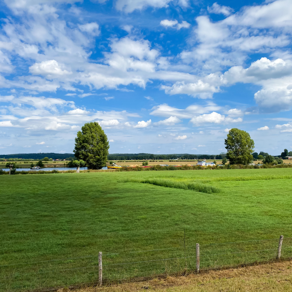 Foto van groen landschap met gras en bomen aan de Maas