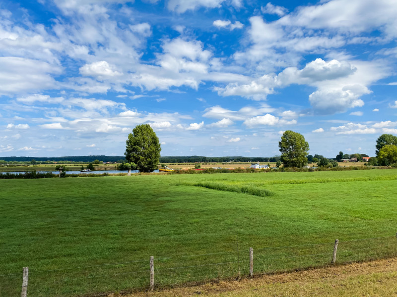 Foto van groen landschap met gras en bomen aan de Maas