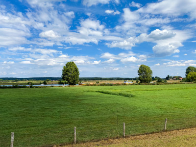 Foto van groen landschap met gras en bomen aan de Maas