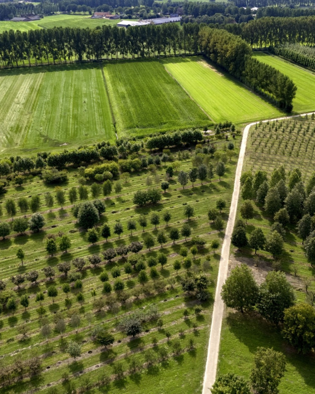 Groene landbouwgrond vanuit de lucht