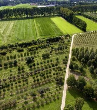 Groene landbouwgrond vanuit de lucht