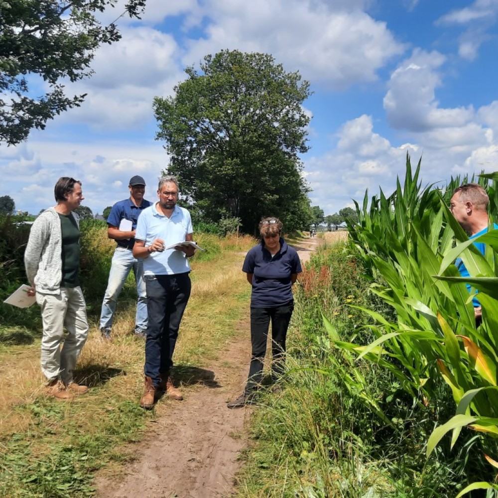 De jaarlijkse open dagen van AgroProeftuin de Peel trekken veel boeren, burgers en bestuurders.
