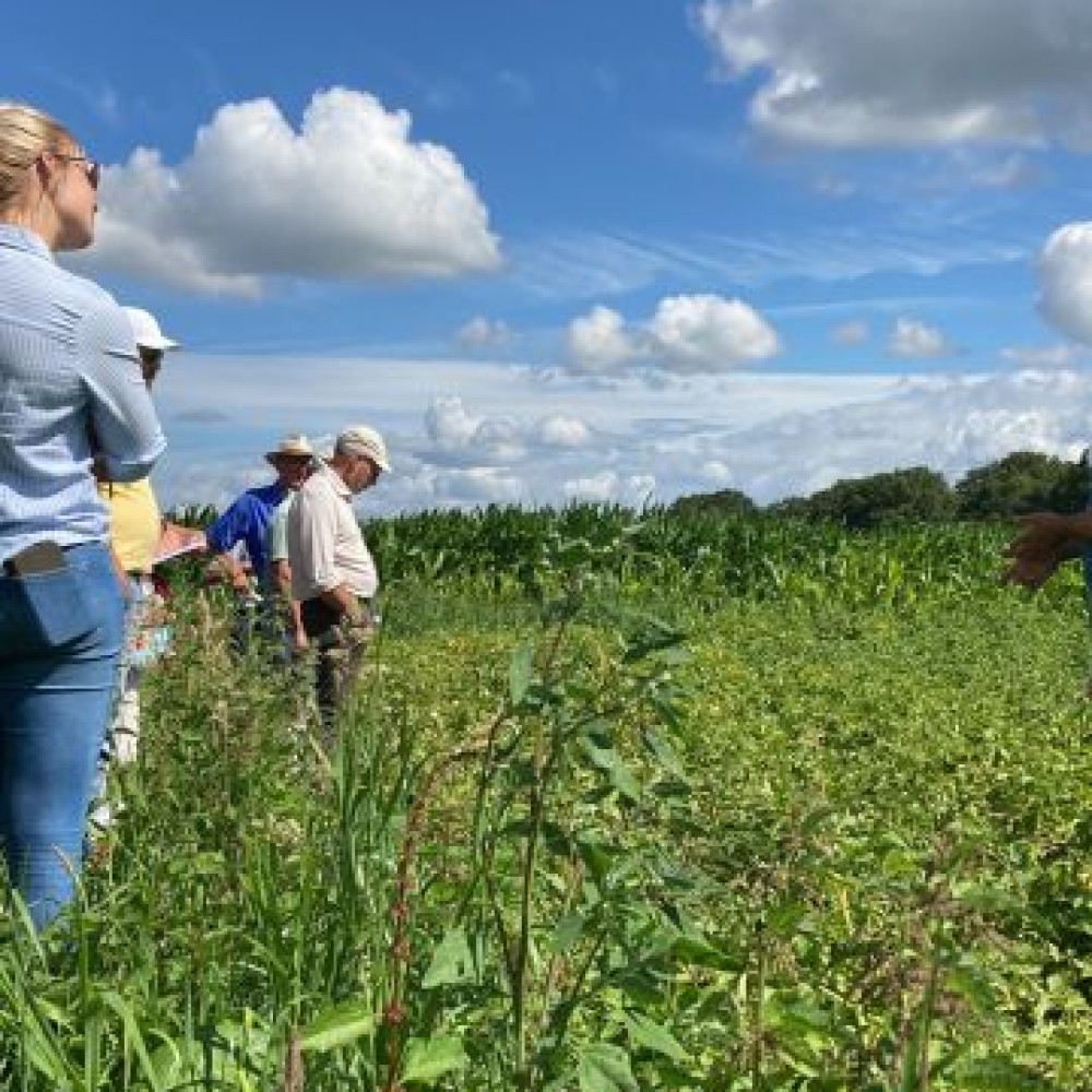 Boeren op de proeflocatie van AgroProeftuin de Peel in de Peel