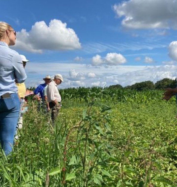 Boeren op de proeflocatie van AgroProeftuin de Peel in de Peel