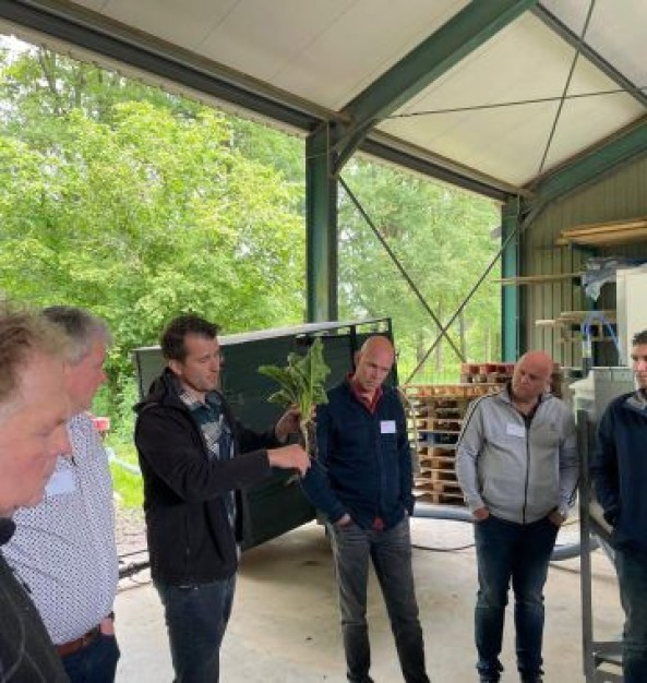 Bezoekers bij de velddag van het PAVEx project