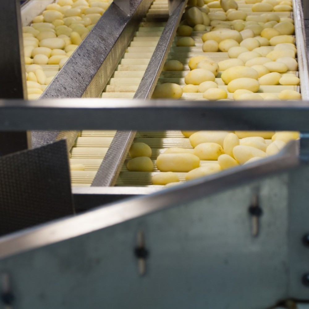 Geschilde aardappelen op een lopende band in een fabriek