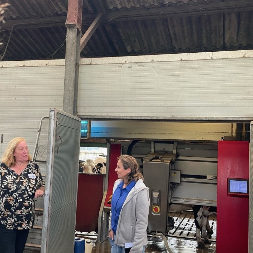 Bestuurders en ambtenaren uit de regio in gesprek met een biologische boerin in Helvoirt