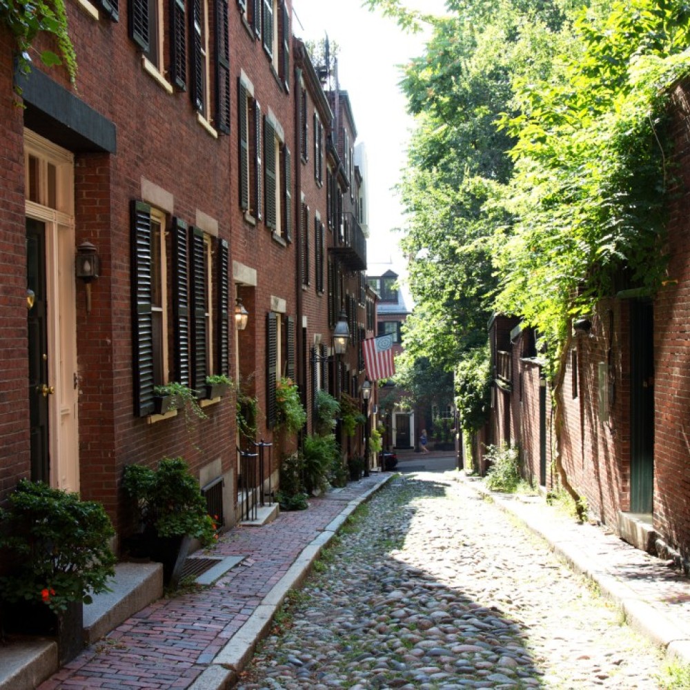 Straatje met jaren 30-huizen en veel bomen en planten (groen) 