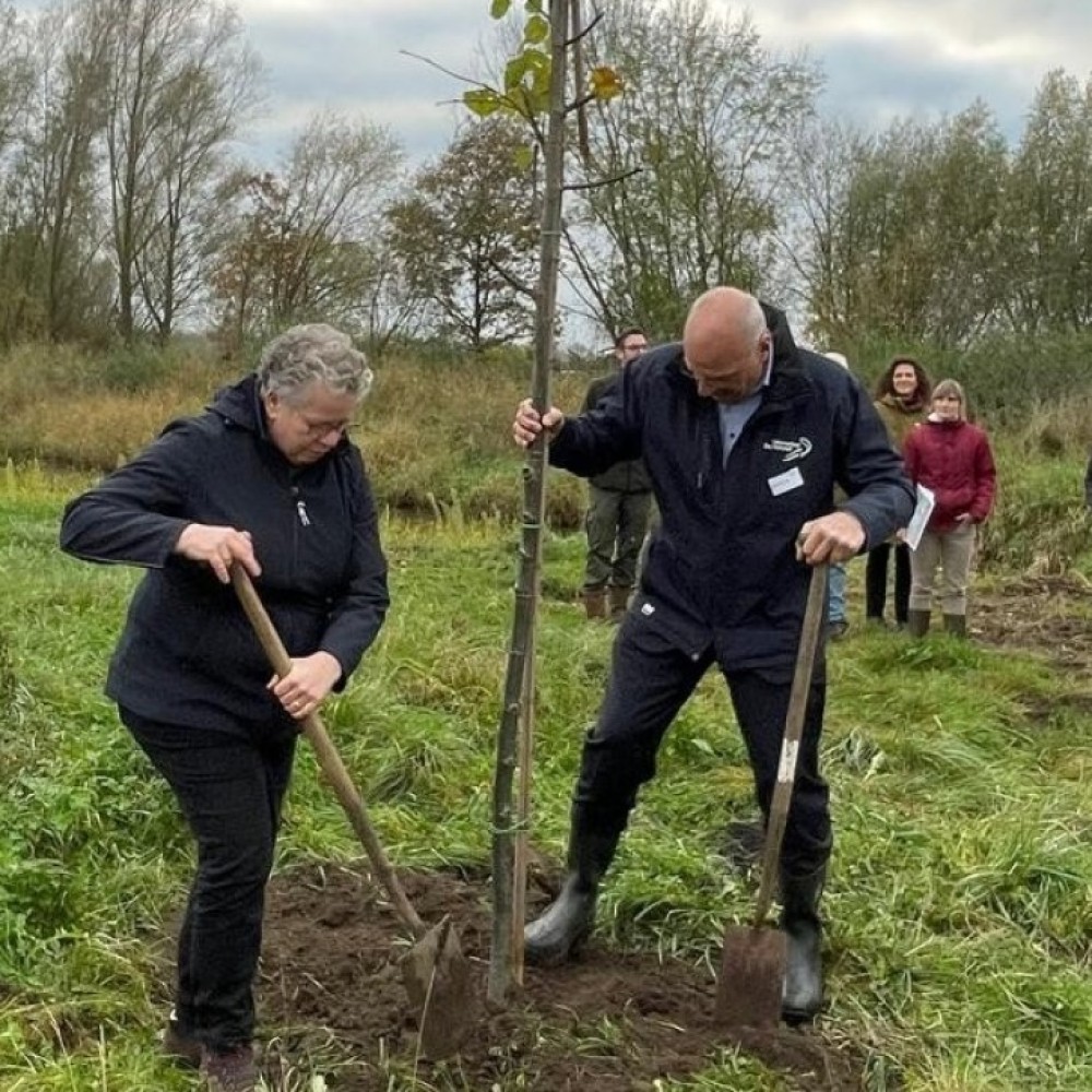 Wethouder Desiré van Laarhoven en een natuurbeheerder planten samen een boom
