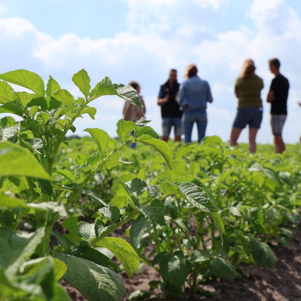 Agrarische ondernemers met elkaar gesprek op De Proeflocatie van De AgroProeftuin Noordoost-Brabant 