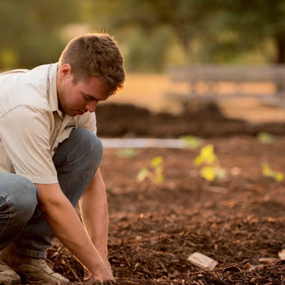 Jonge boer bewerkt landbouwgrond met zijn handen
