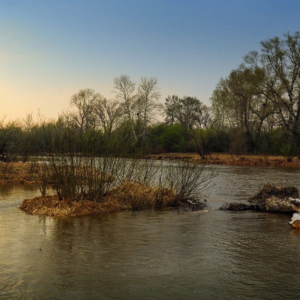 Natuurgebied in Noordoost-Brabant overstroomd door hevige regenval