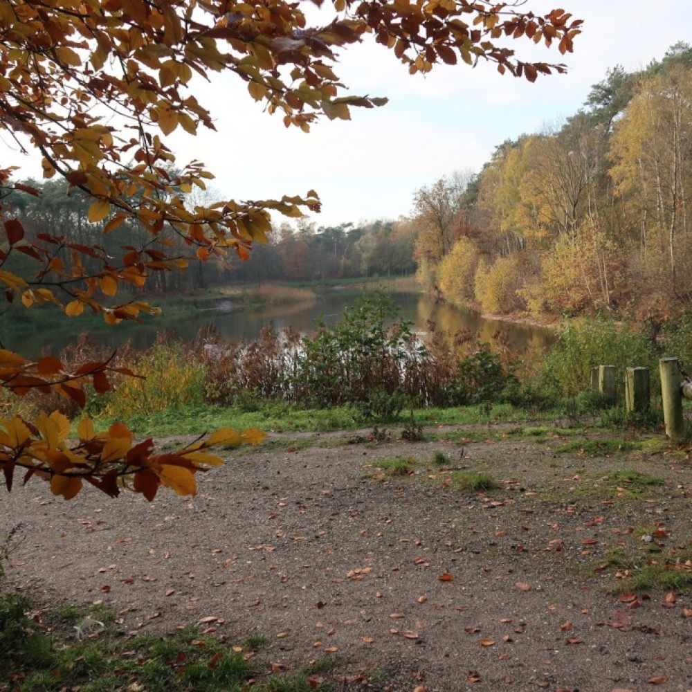 Natuurlandschap in de gemeente Bernheze