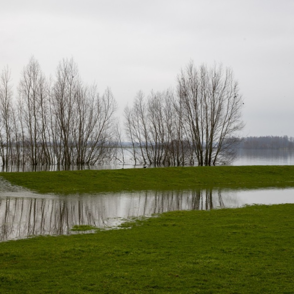 Natuurgebied in de regio dat is ondergelopen als gevolg van hevige regenval 