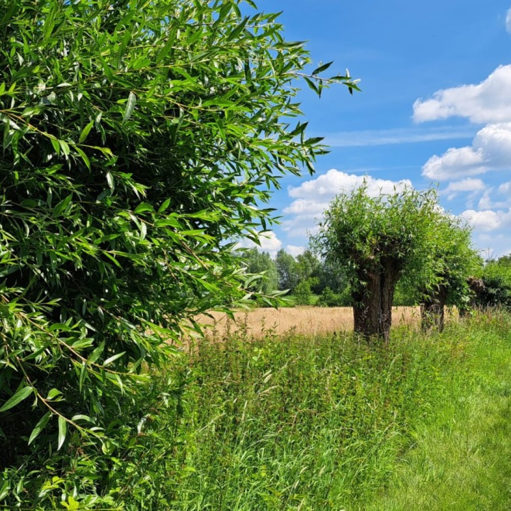 Natuur in de gemeente Bernheze