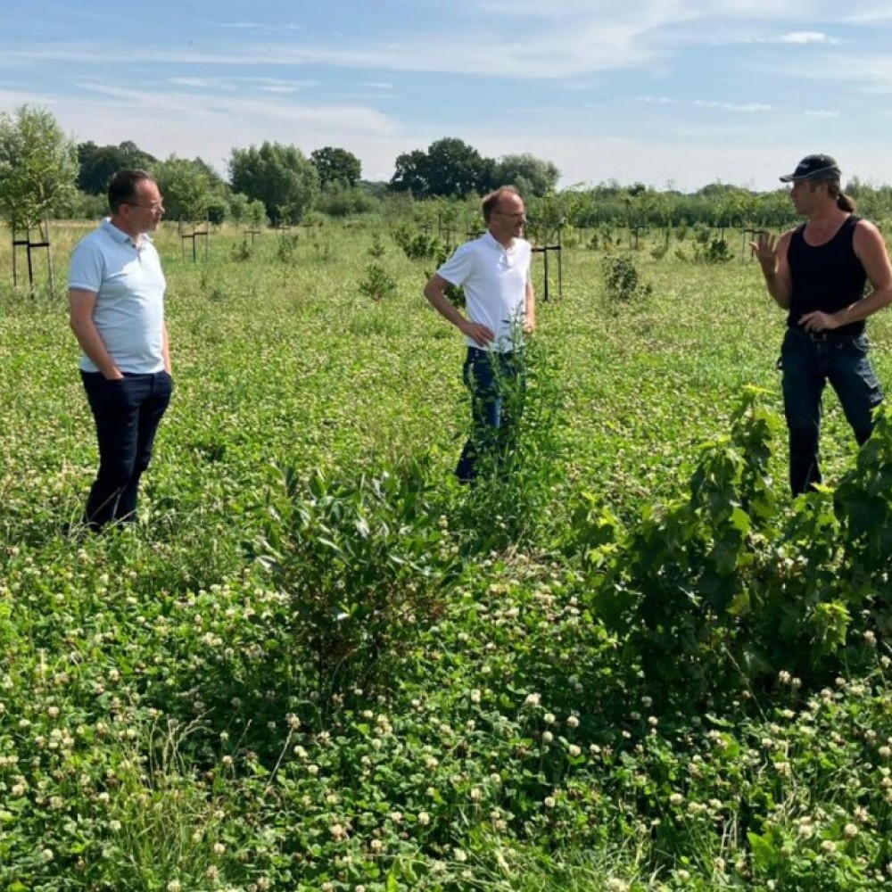 Drie agrarisch ondernemers met elkaar in gesprek op een groene akker met gewassen en bomen