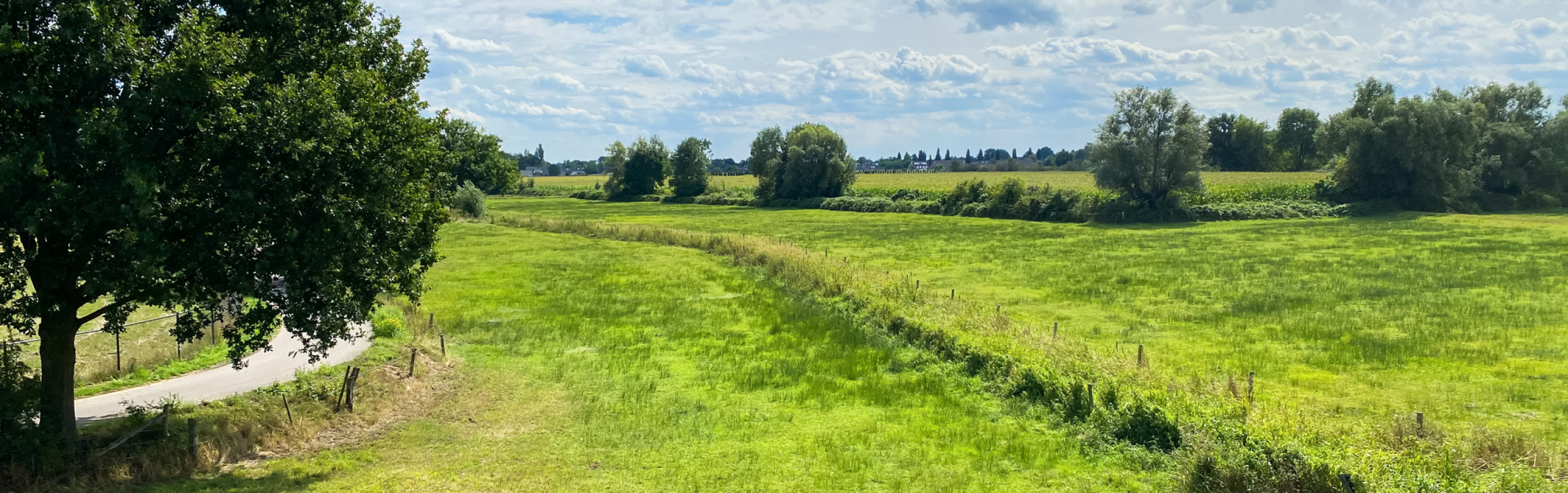 Foto van een weids landschap met gras en bomen in Noordoost-Brabant