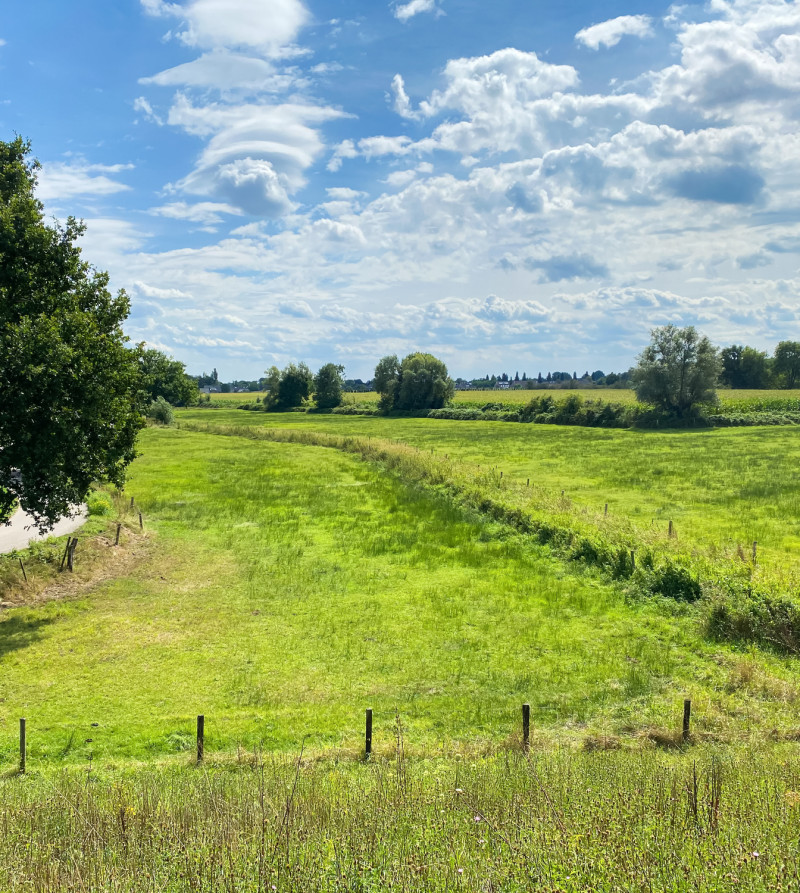 Foto van een weids landschap met gras en bomen in Noordoost-Brabant