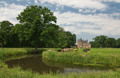 Koeien grazen bij een kasteel in groen Noordoost-Brabants landschap met water en bomen