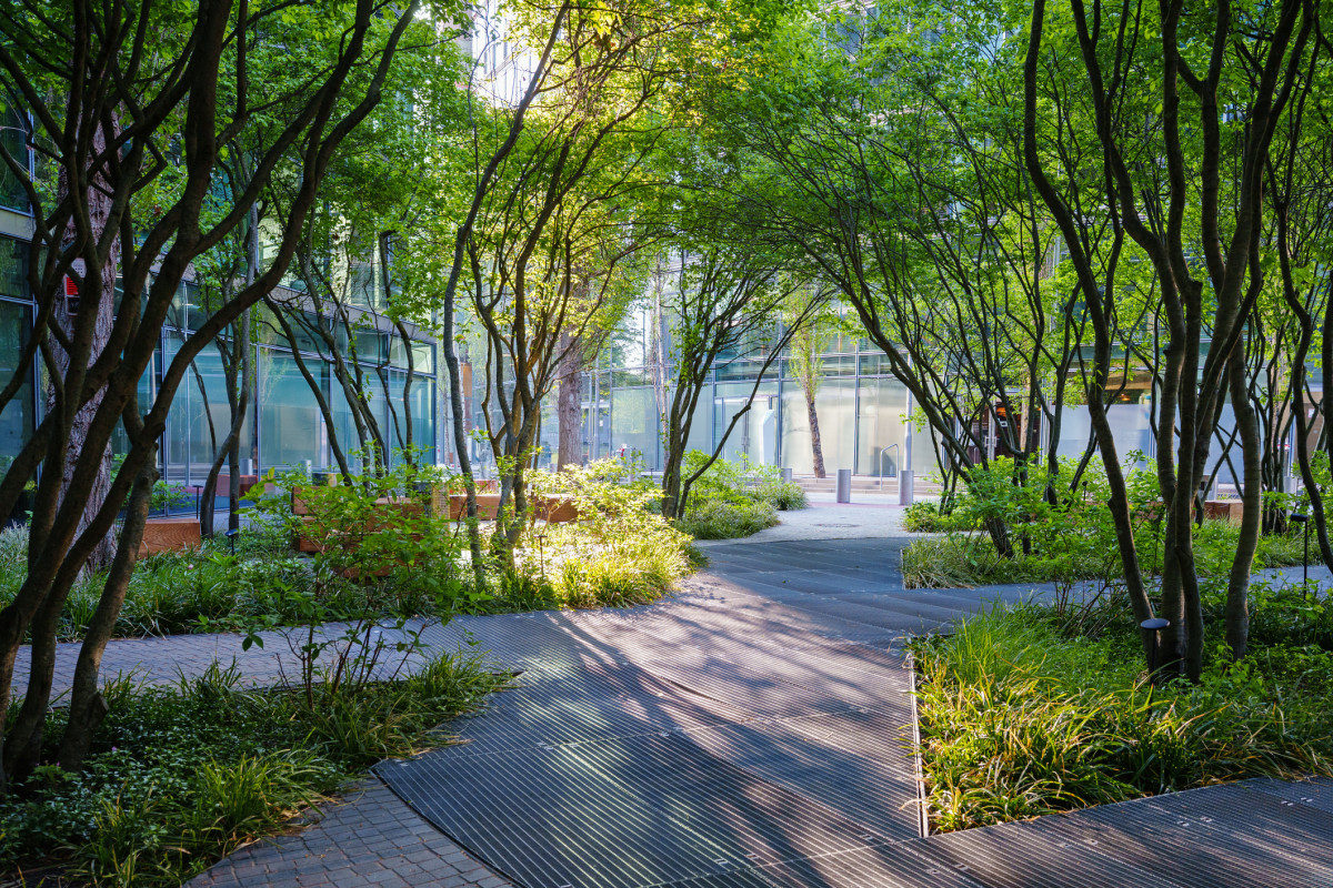 Groene binnentuin met bomen, wandelpaden en beplanting tussen gebouwen. Voorbeeld van klimaatadaptatie, biodiversiteit en een gezonde, natuurinclusieve leefomgeving.
