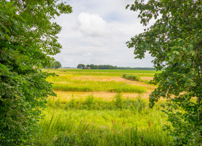 Landschap in Noordoost-Brabant met groene weilanden, akkers en bomen onder een lichtbewolkte lucht.