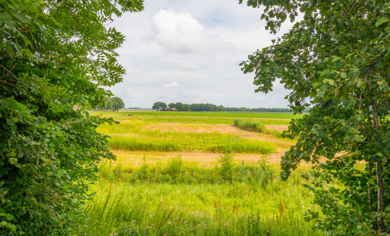 Landschap in Noordoost-Brabant met groene weilanden, akkers en bomen onder een lichtbewolkte lucht.