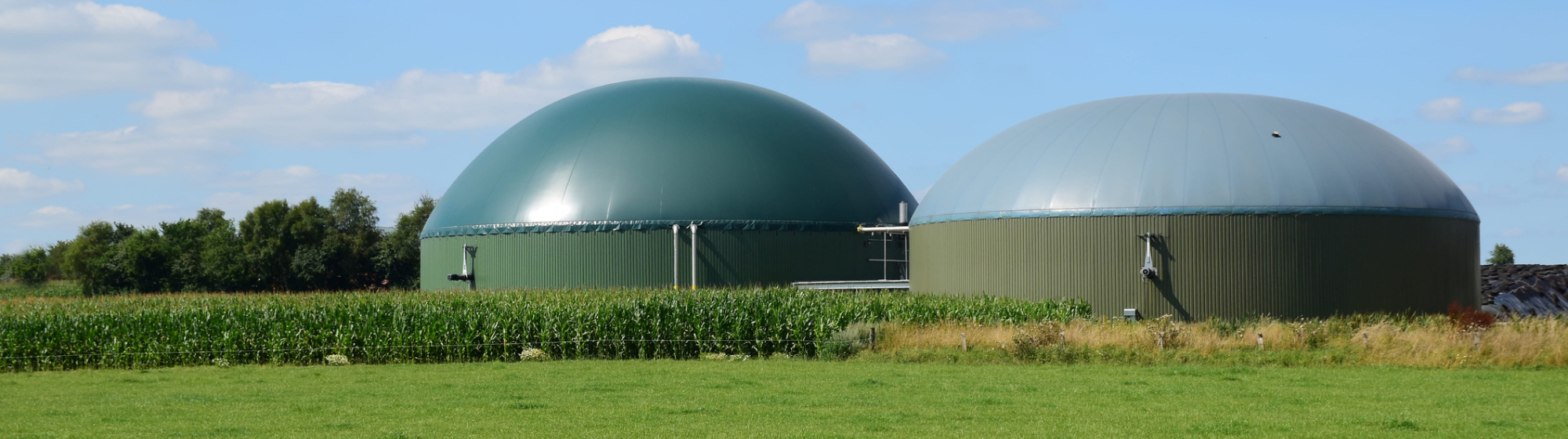 Biogasinstallatie met vergisters naast maïsveld in landelijk gebied voor duurzame energieproductie.
