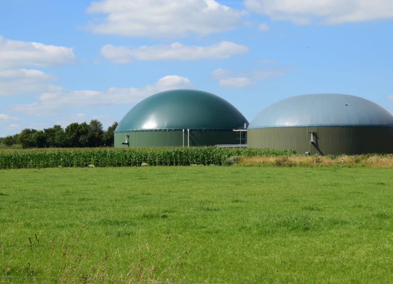 Biogasinstallatie met vergisters naast maïsveld in landelijk gebied voor duurzame energieproductie.
