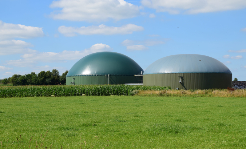 Biogasinstallatie met vergisters naast maïsveld in landelijk gebied voor duurzame energieproductie.