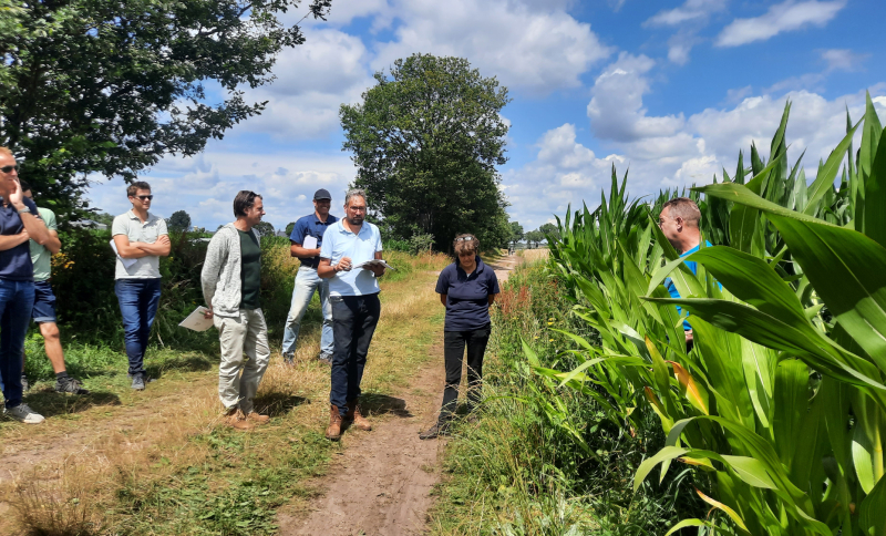 Groepje bezoekers aan de open proeflocatie dag van De AgroProeftuin in gesprek met een boer in een maïsveld.