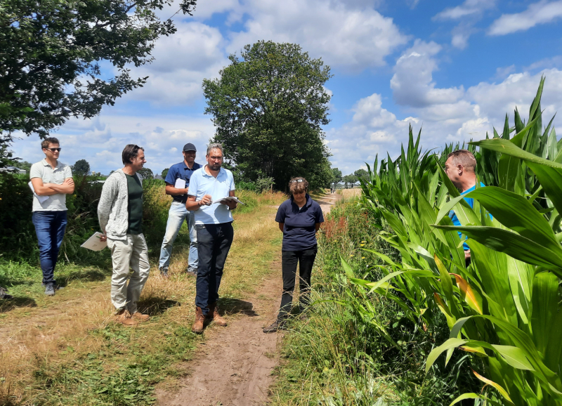 Groepje bezoekers aan de open proeflocatie dag van De AgroProeftuin in gesprek met een boer in een maïsveld.