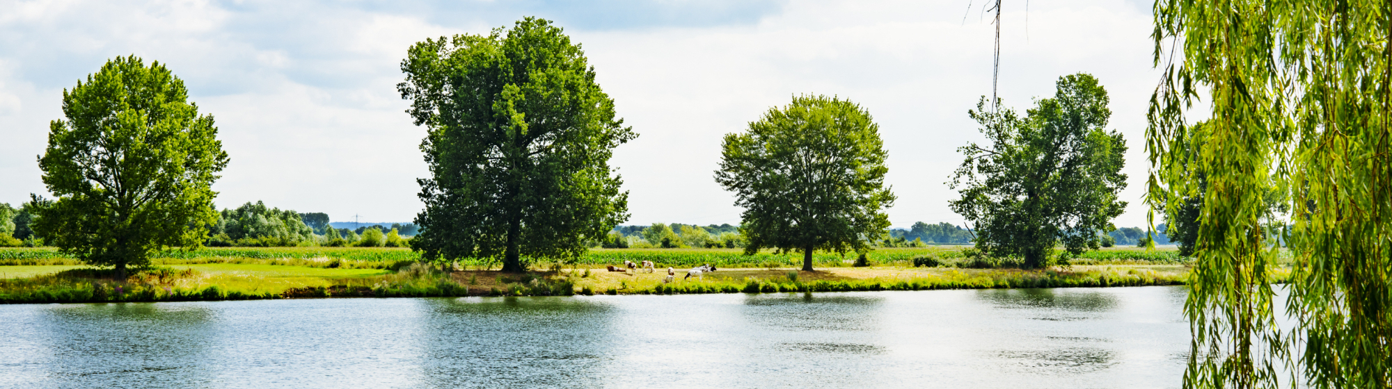 Rivierlandschap met bomen aan de overkant bij bewolkte lucht.