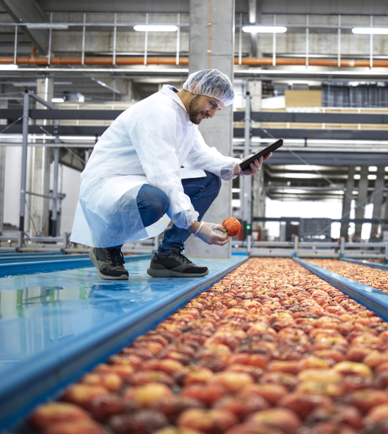 Foto van een medewerker in een fabriek waar appels worden verwerkt.