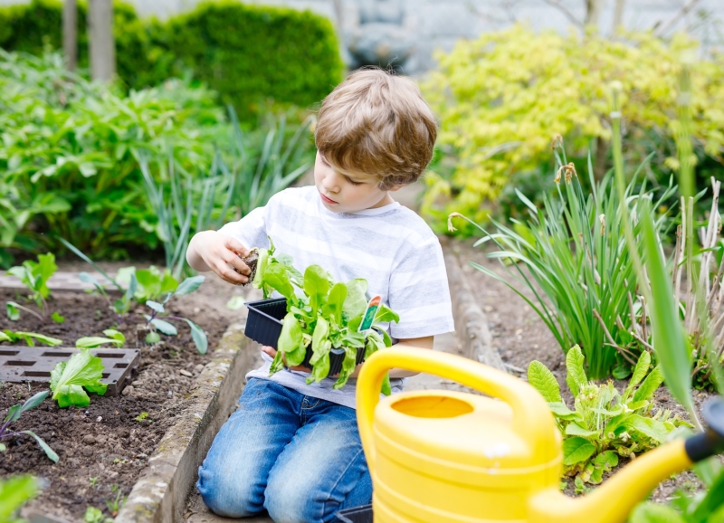 Een kleine jongen tuiniert in moestuintje met gele gieter op de voorgrond