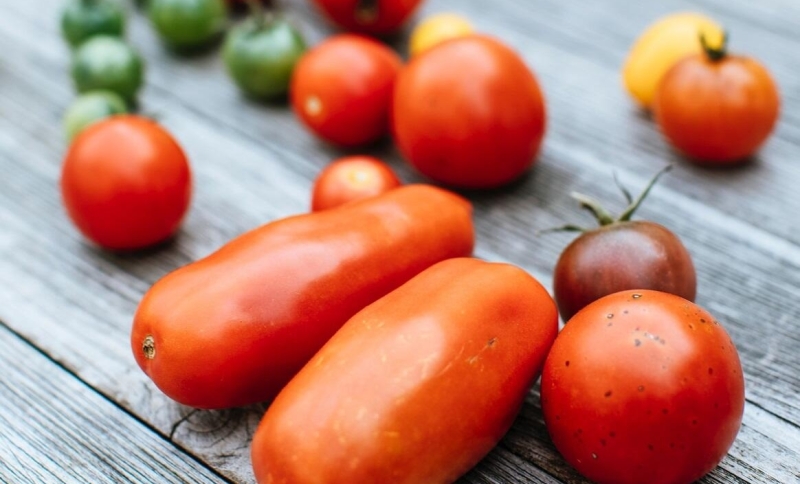 Verschillende soorten tomaten