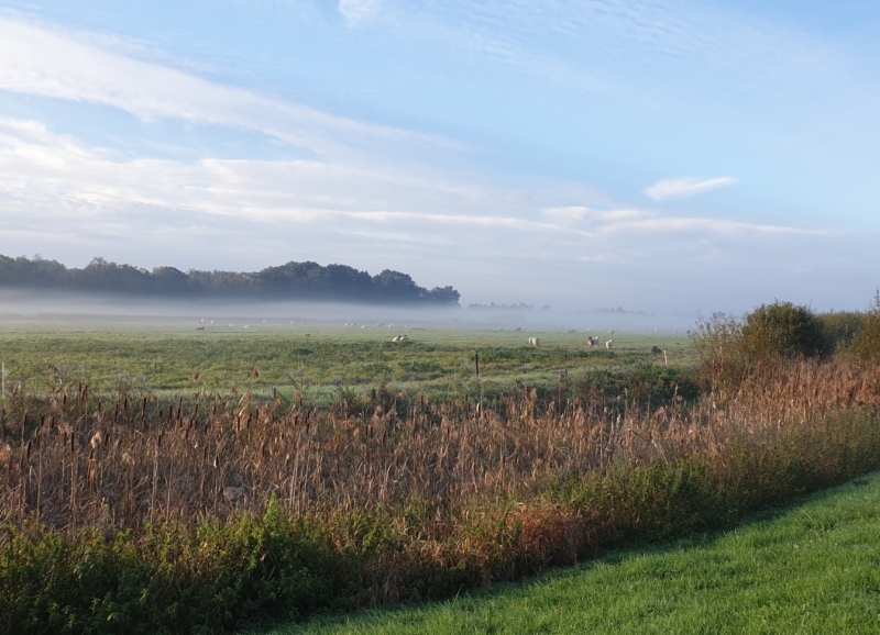 Landschapsfoto van een deel van de Peel met mist boven de grond
