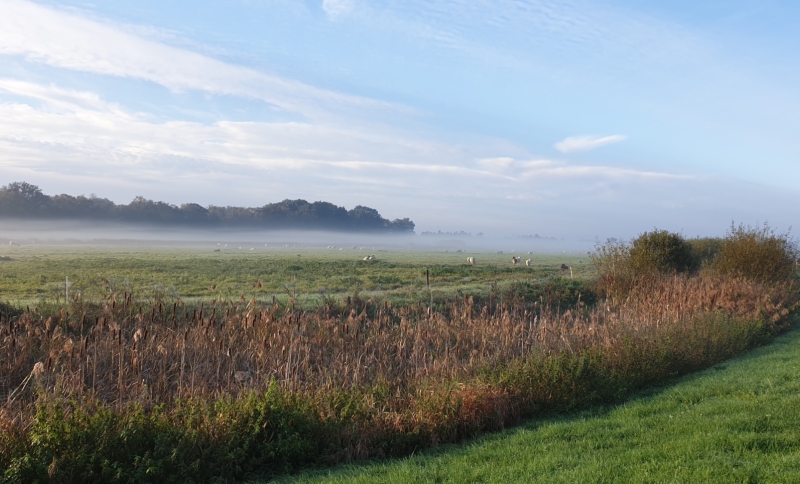 Landschapsfoto van een deel van de Peel met mist boven de grond