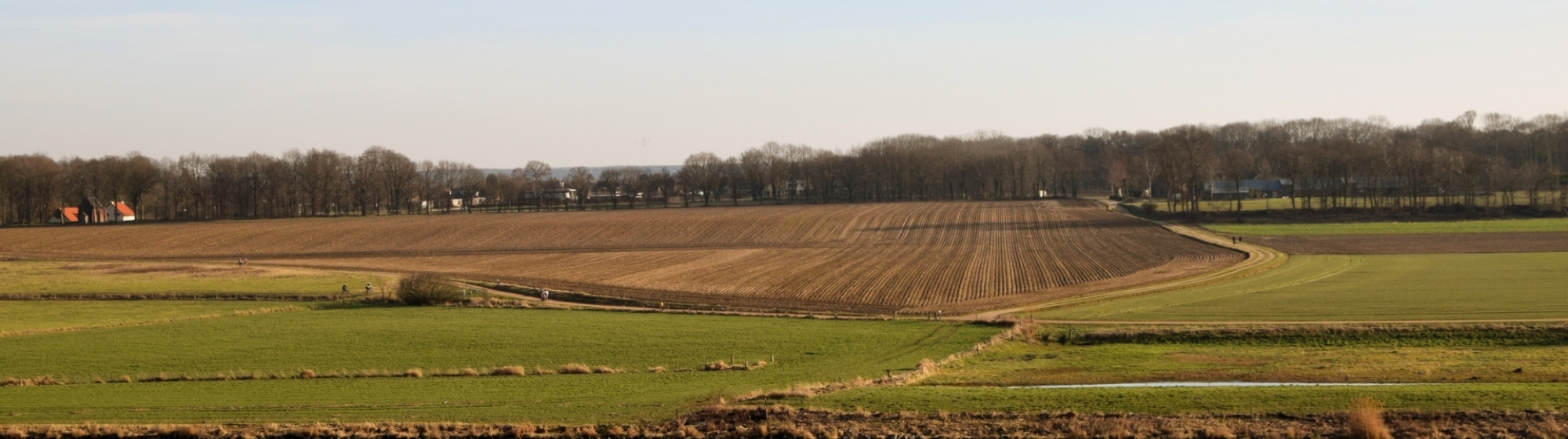 Landbouwgrond met water ervoor in de Peel