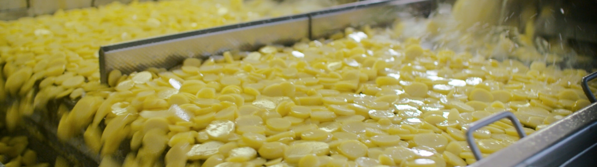 Geschilde aardappelen worden gewassen op ene band in een aardappelverwerkingsfabriek 