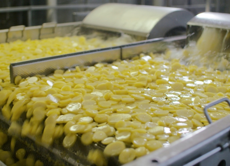 Geschilde aardappelen worden gewassen op ene band in een aardappelverwerkingsfabriek 