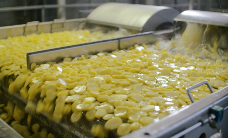 Geschilde aardappelen worden gewassen op ene band in een aardappelverwerkingsfabriek 