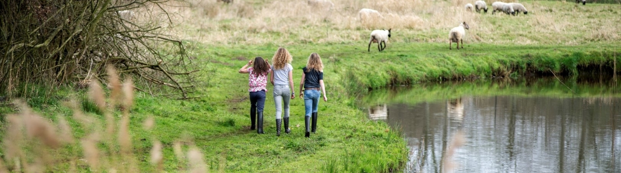 Drie meisjes lopen door een natuurlandschap met water en bomen