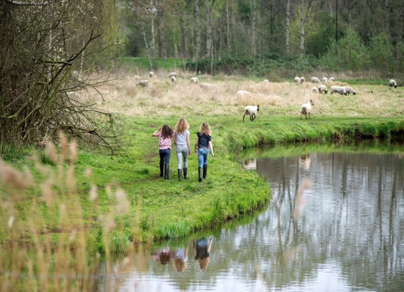 Drie meisjes lopen door een natuurlandschap met water en bomen