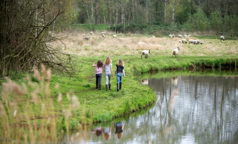 Drie meisjes lopen door een natuurlandschap met water en bomen