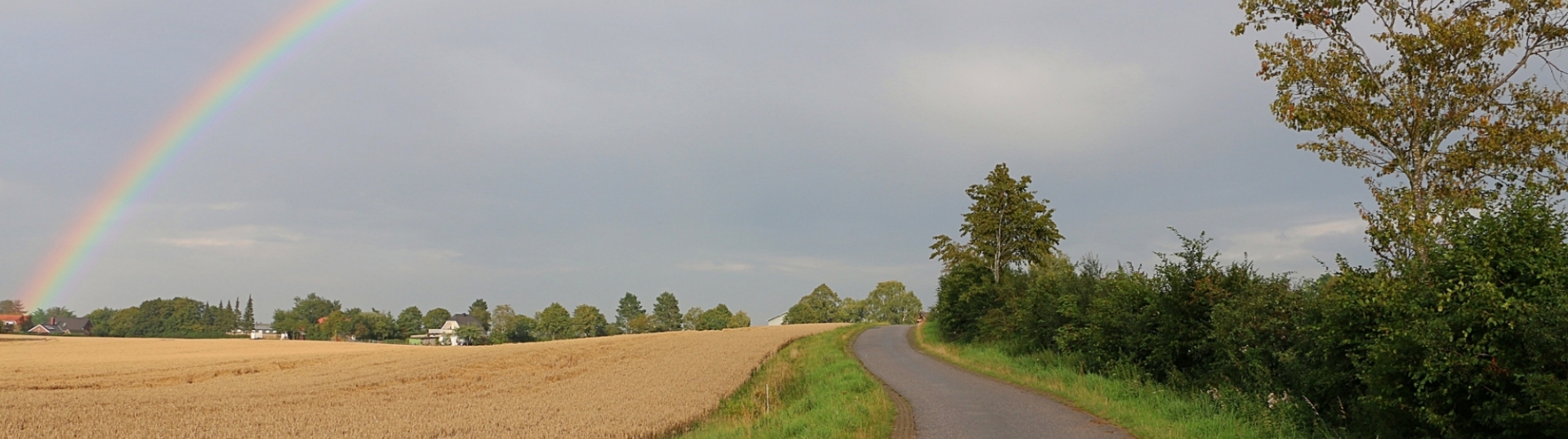 Landschap met een B-weg, akkerbouwlandschap en een regenboog