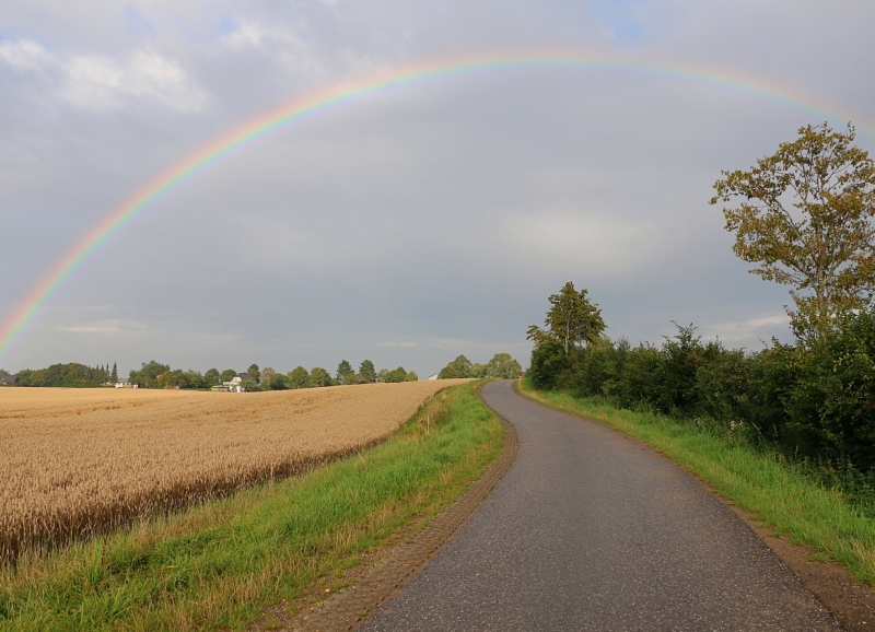 Landschap met een B-weg, akkerbouwlandschap en een regenboog