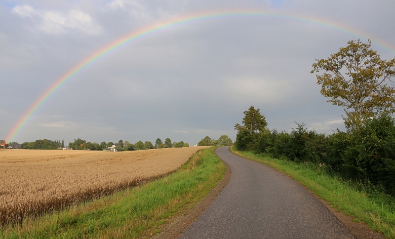 Landschap met een B-weg, akkerbouwlandschap en een regenboog