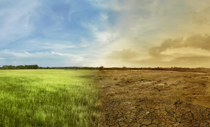 Landschap met ene helft groen en gezond en andere helft verdroogd