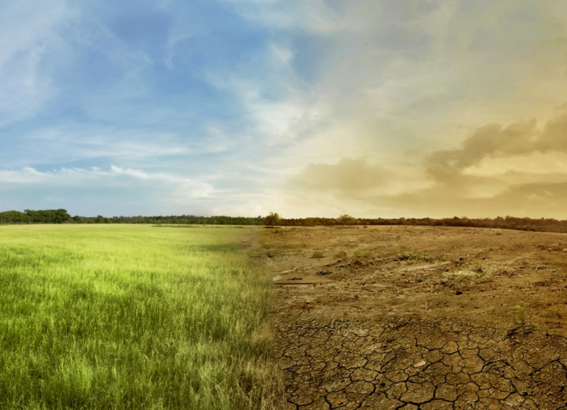 Landschap met ene helft groen en gezond en andere helft verdroogd